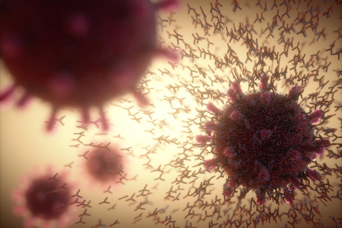 Study: Broadly neutralizing antibodies overcome SARS-CoV-2 Omicron antigenic shift. Image Credit: ktsdesign/Shutterstock