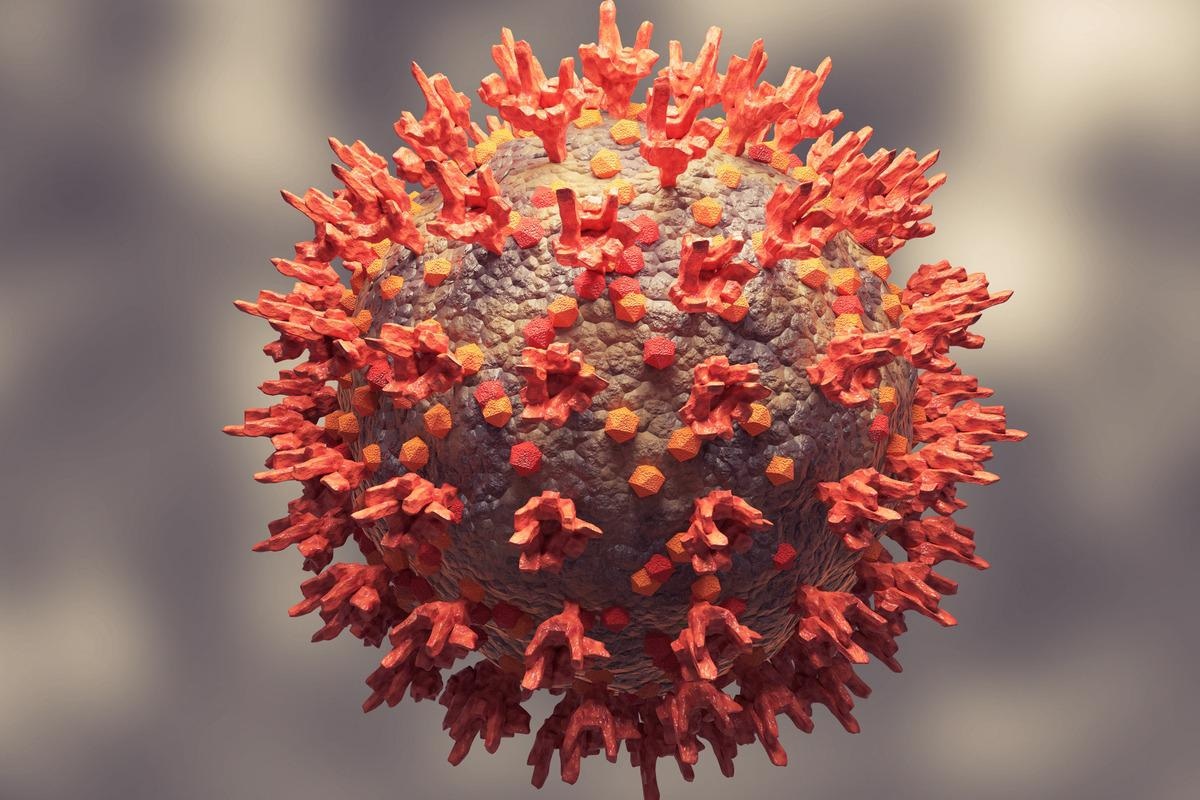 Study: Vaccine-breakthrough infection by the SARS-CoV-2 Omicron variant elicits broadly cross-reactive immune responses. Image Credit: Adao/Shutterstock