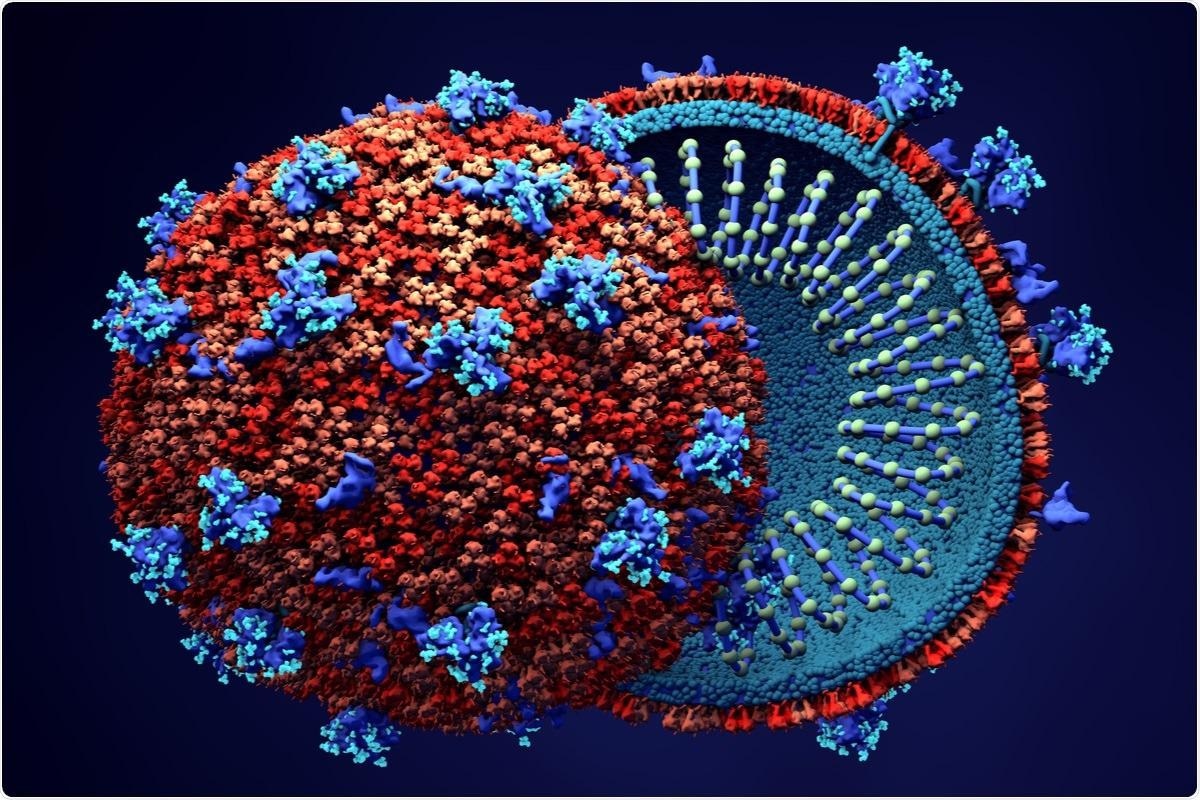 Study: The Conserved Macrodomain Is a Potential Therapeutic Target for Coronaviruses and Alphaviruses. Image Credit: Design_Cells / Shutterstock