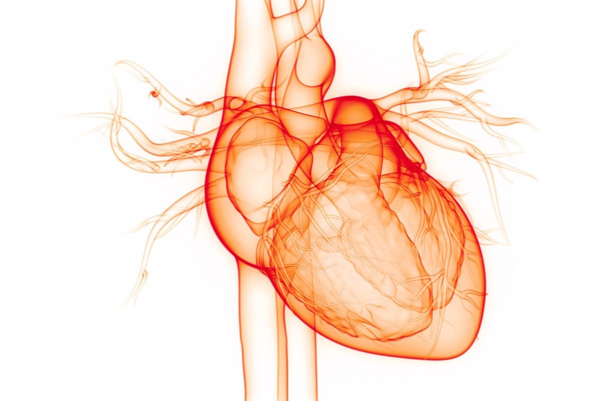 Study: Atrial fibrillation as a precursor of mRNA-1273 SARS-CoV-2 vaccine-induced pericarditis. Image Credit: Magic mine/Shutterstock