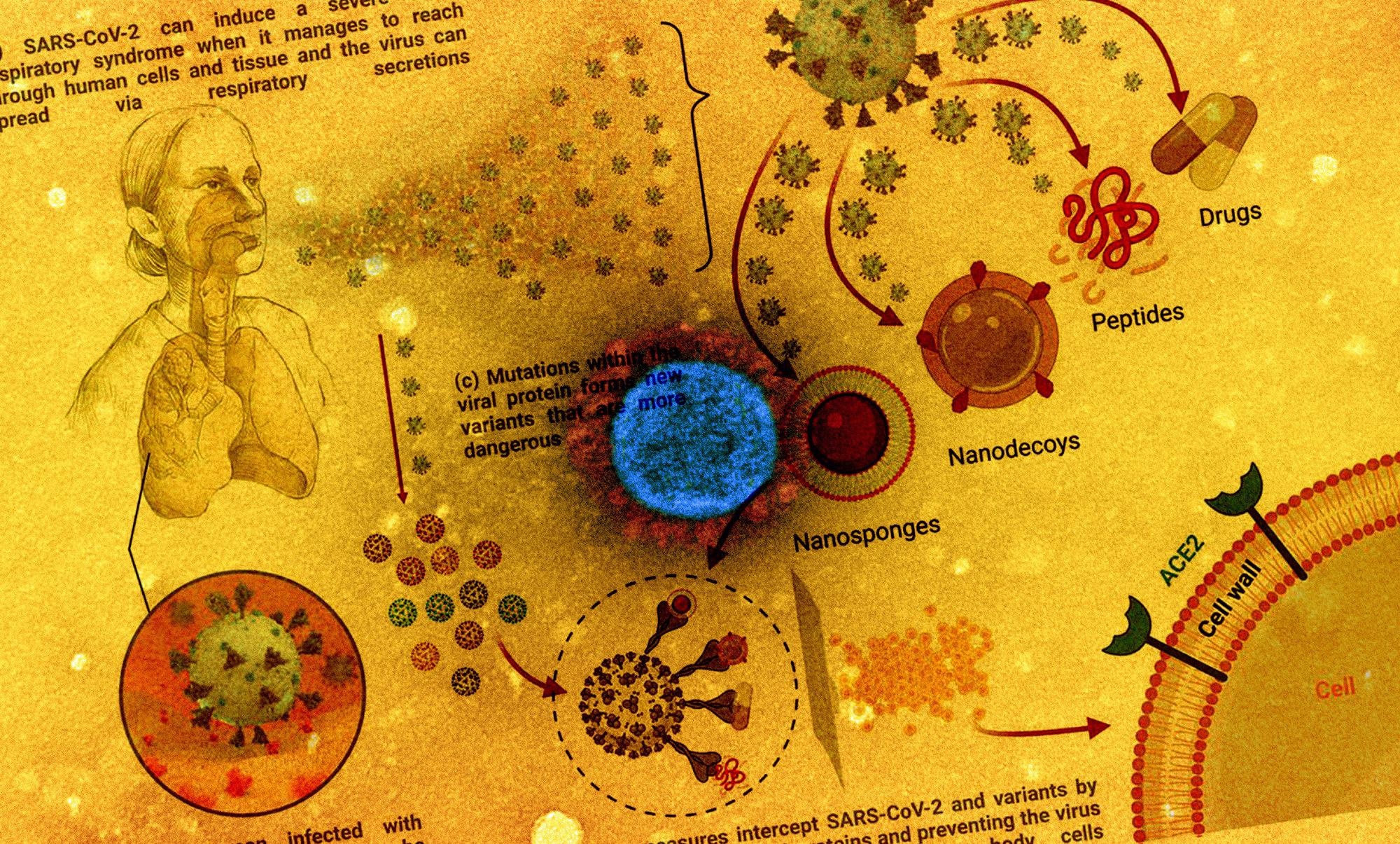 Review: Severe Acute Respiratory Syndrome Type 2-Causing Coronavirus: Variants and Preventive Strategies