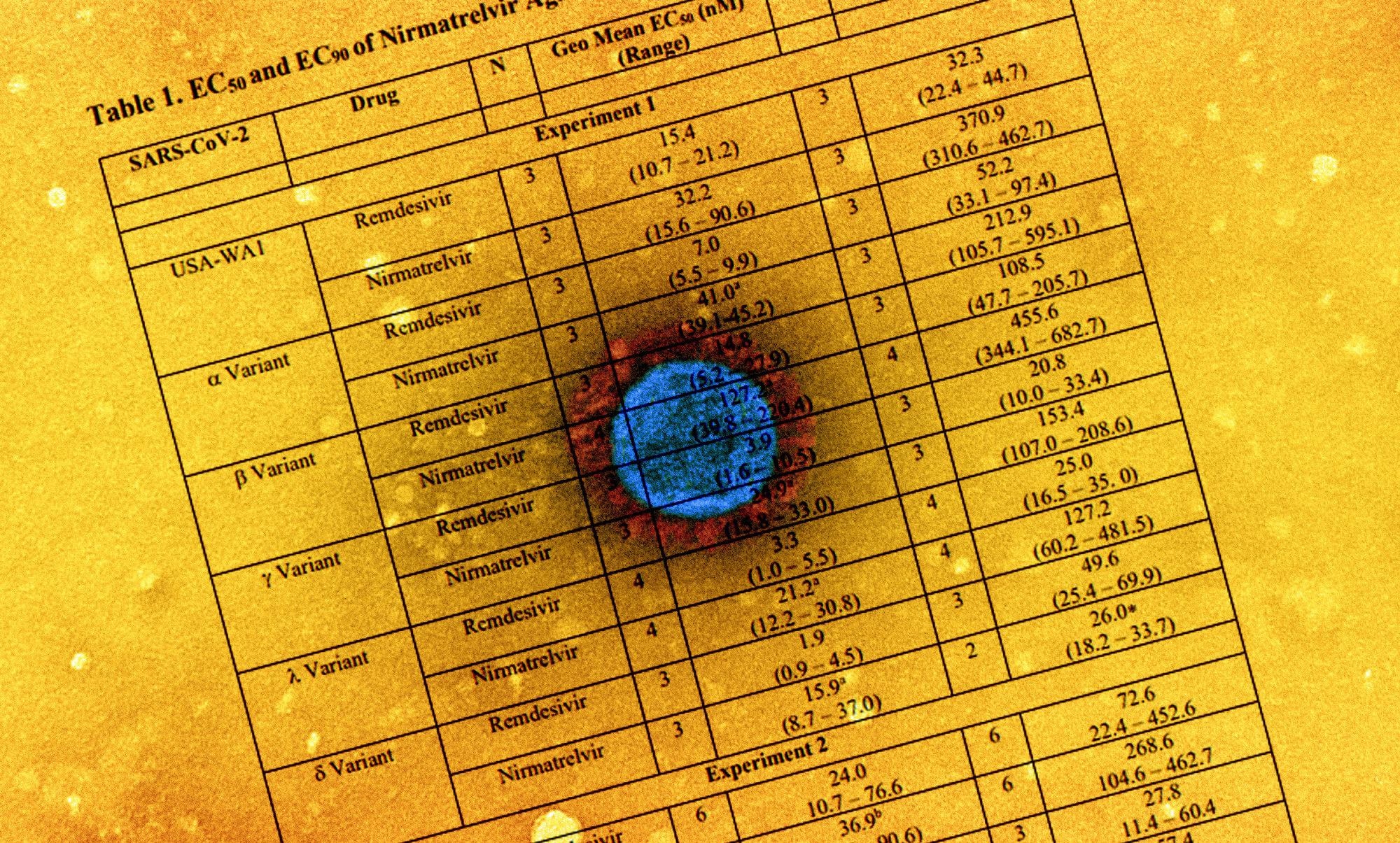Study: Nirmatrelvir, an orally active Mpro inhibitor, is a potent inhibitor of SARS-CoV-2 Variants of Concern. Image Credit: NIAID