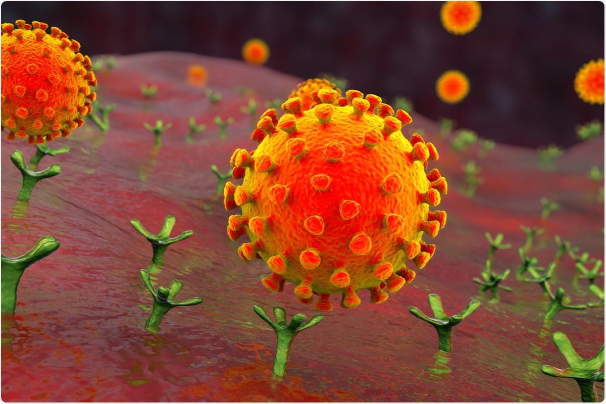 Study: Extracellular Vimentin Is an Attachment Factor That Facilitates SARS-Cov-2 Entry into Human Endothelial Cells. Image Credit: Kateryna Kon / Shutterstock.com