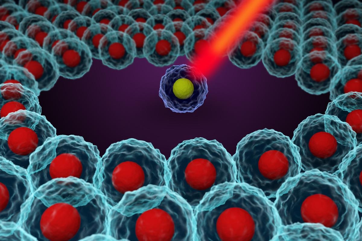 Study: Dictionary learning for integrative, multimodal, and scalable single-cell analysis. Image Credit: Meletios Verras/Shutterstock
