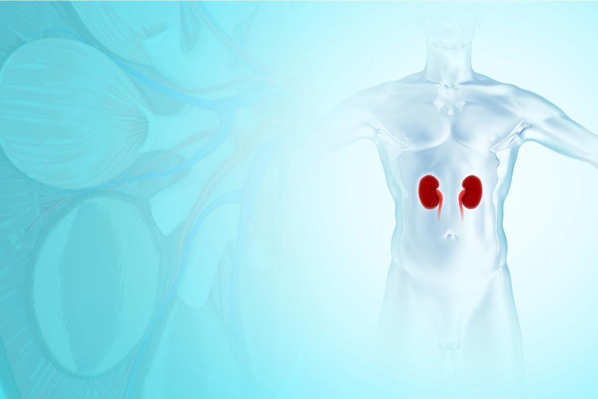 Study: Serological Response to Three, Four and Five Doses of SARS-CoV-2 Vaccine in Kidney Transplant Recipients. Image Credit: Kris Petkong/Shutterstock