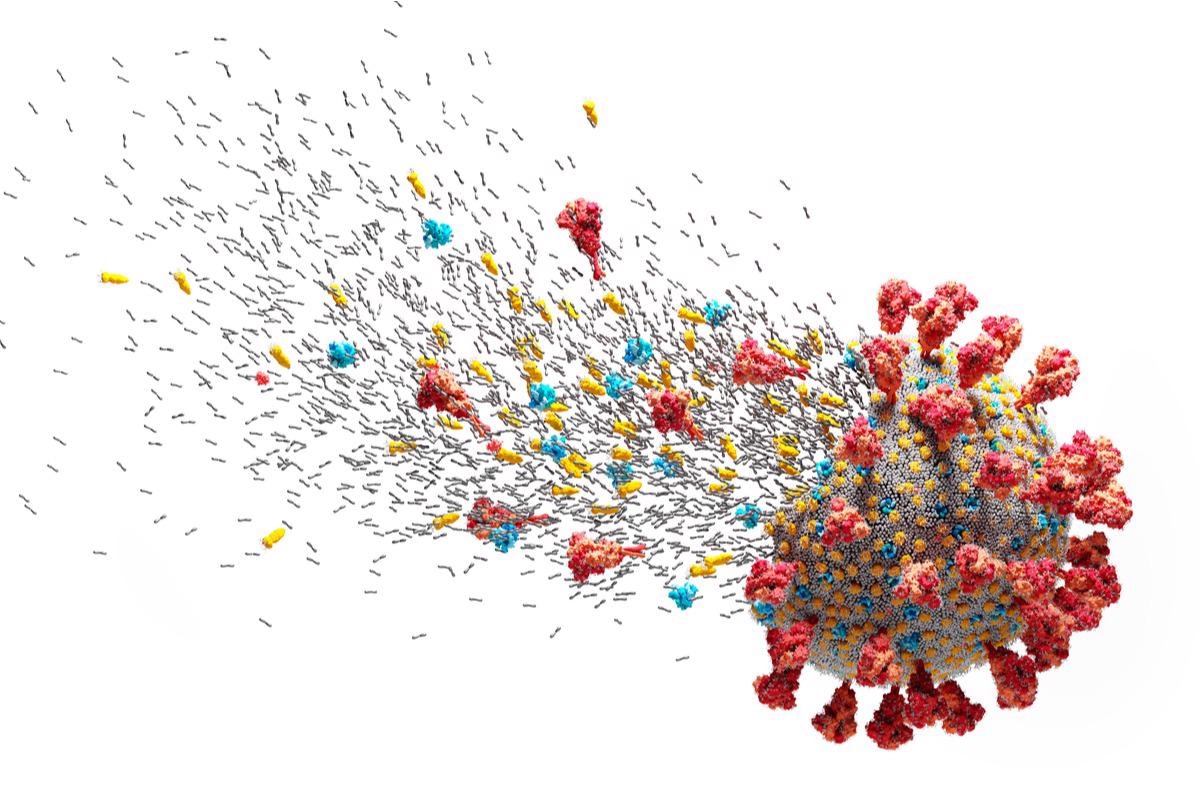 Study: Inhibition of SARS-CoV-2 replication in the lung with siRNA/ VIPER polyplexes. Image Credit: PHOTOCREO Michal Bednarek / Shutterstock.com