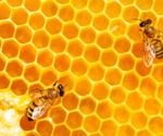 Honeybee-based SARS-CoV-2 diagnostics