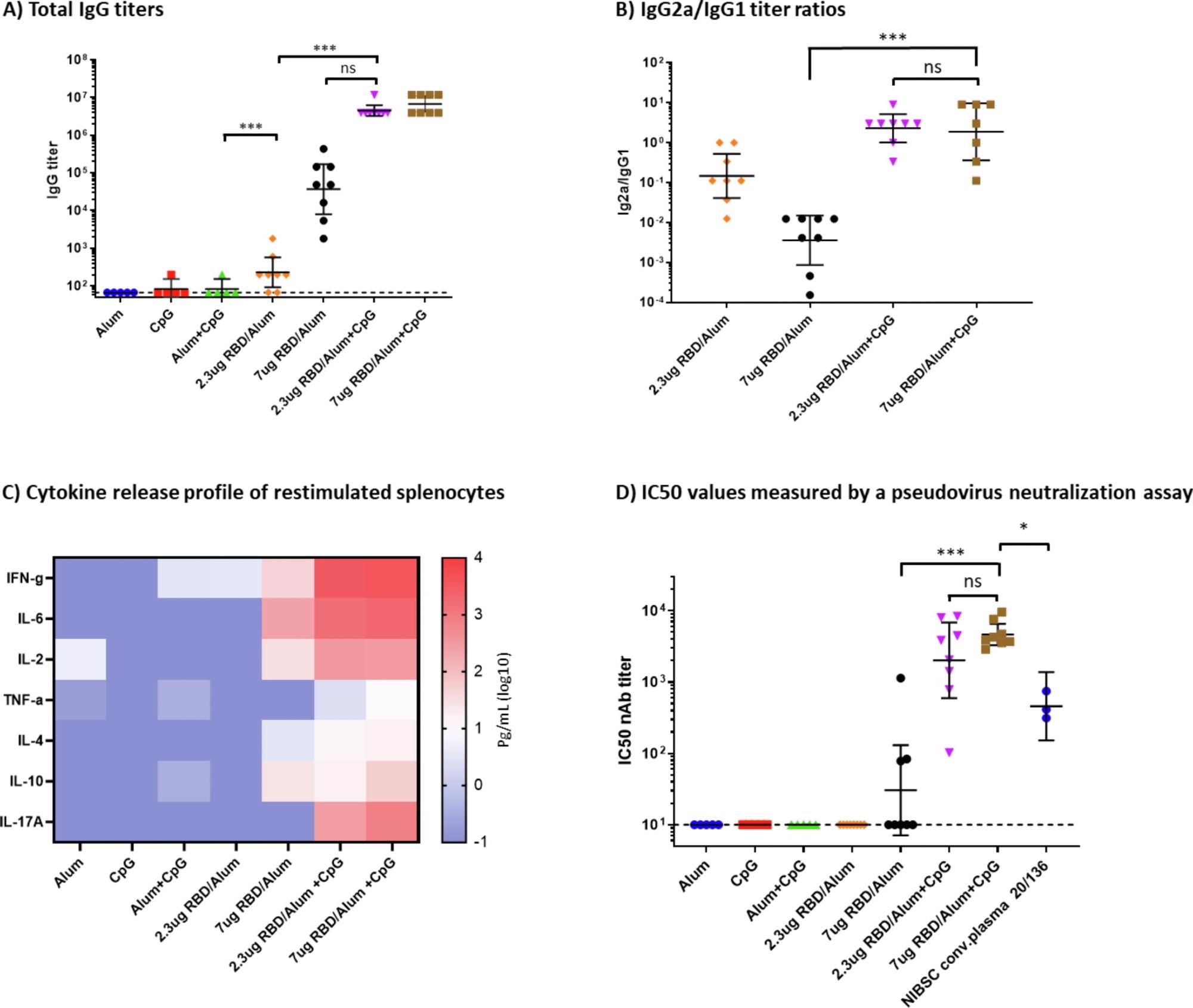 Humoral and cellular immune response in immunized mice. A) Total IgG titers at day 35, measured by ELISA. B) IgG2a/IgG1 titer ratios. Geometric mean and 95% confidence intervals are shown. C) Heatmap of secreted cytokine levels measured in the supernatants from splenocytes re-stimulated with the SARS-CoV-2 RBD protein. Median values were calculated within each treatment group for each cytokine and plotted. D) IC50 values were measured by a neutralization assay using a lentiviral SARS-CoV-2 Wuhan pseudovirus. Mann-Whitney tests were performed to evaluate for statistical significance between different groups. p > 0.12(ns), p < 0.033 (*), p < 0.001 (***).