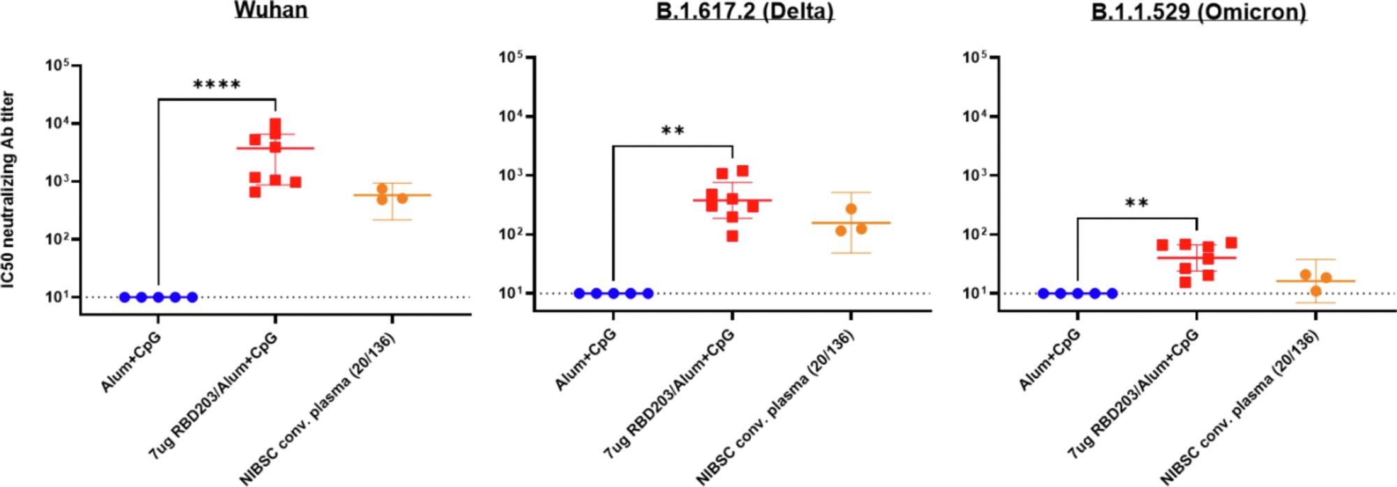 Neutralizing activity by sera from vaccinated mice against Delta and Omicron variants of the SARS-CoV-2 pseudovirus. Neutralization of various pseudovirus mimicking different variants of concern: Wuhan SARS-CoV-2 (left panel), B.1.617.2 (Delta) SARS-CoV-2 variant (middle panel), B.1.351 (Omicron) SARS-CoV-2 variant (right panel). The human NIBSC convalescent plasma was included as a positive control, serum from mice vaccinated with alum + CpG was included as a negative control. Data points are averages of technical replicates (n = 2). The dotted line indicates the limit of quantification p < 0.0021 (**), p < 0.0001 (****).