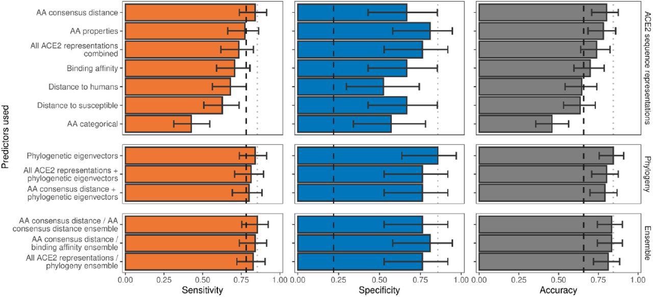 Ability of models trained on different representations of either ACE2 sequences or a time-scaled amniote phylogeny to predict host susceptibility to sarbecovirus infection. Bars represent proportions from leave-one-out cross-validation, with error bars indicating binomial confidence intervals. Dashed vertical lines indicate the performance expected from a null model which randomly assigns susceptibility in proportion to its frequency in the training data (78.12% of available hosts are considered susceptible, N = 96). Dotted vertical lines highlight performance of the best model in each panel.