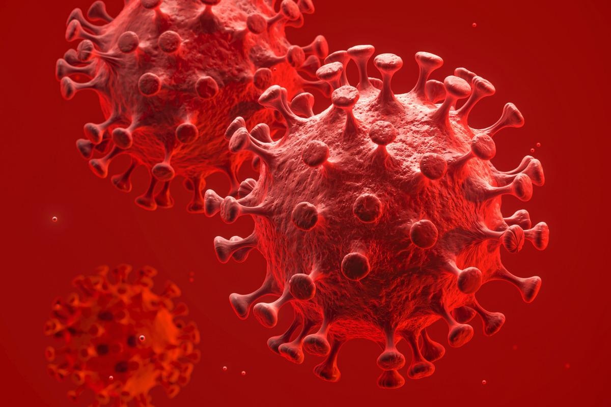 Study: Androgens and COVID-19. Image Credit: 3DJustincase/Shutterstock