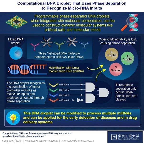 Using DNA droplets for early disease detection