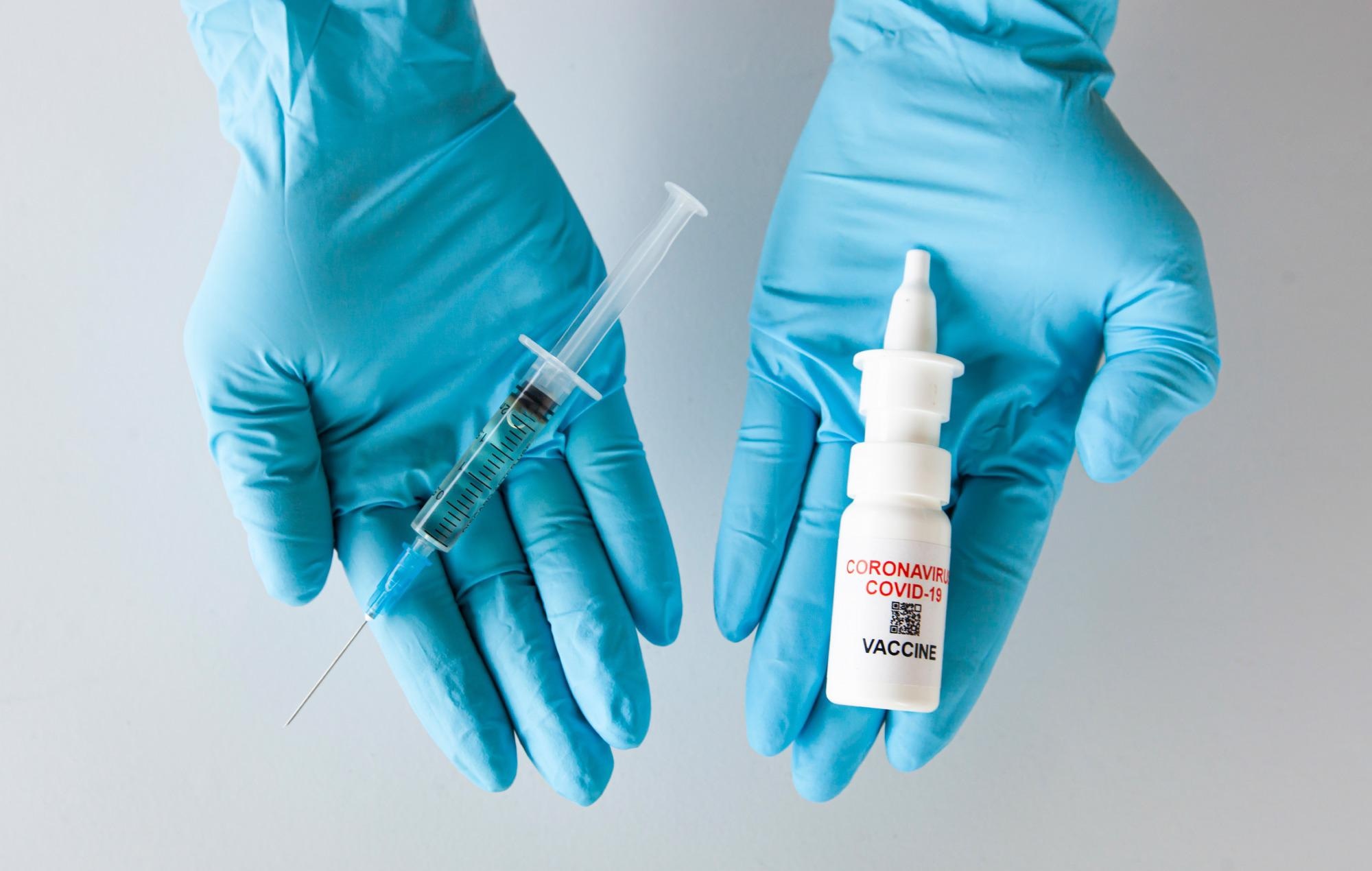 Study: Intranasal inoculation of an MVA-based vaccine induces IgA and protects the respiratory tract of hACE2 mice from SARS-CoV-2 infection. Image Credit: Skylines / Shutterstock