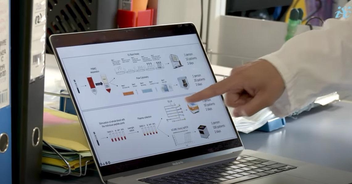 Study: Rapid, scalable assessment of SARS-CoV-2 cellular immunity by whole-blood PCR. Image Credit: Instituto de Salud Carlos III / Shutterstock