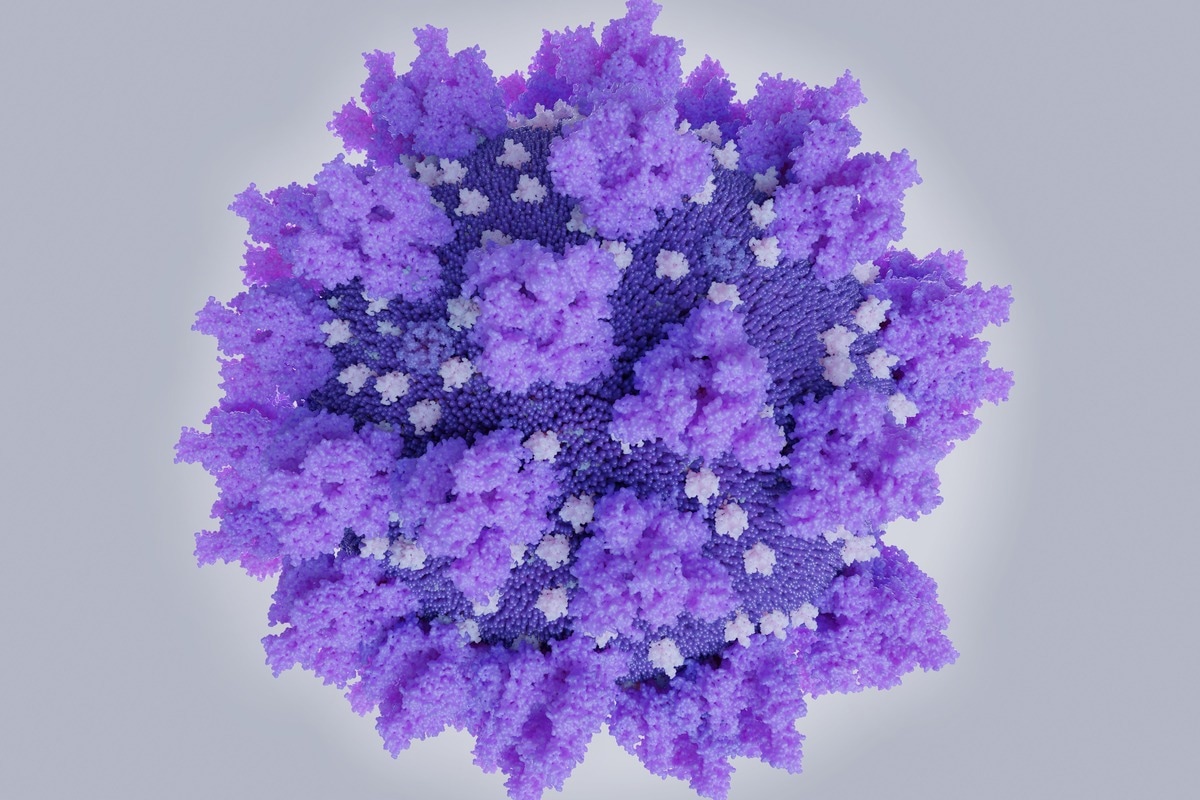 Study: Nucleocapsid mutations in SARS-CoV-2 augment replication and pathogenesis. Image Credit: Juan Gaertner/Shutterstock.com