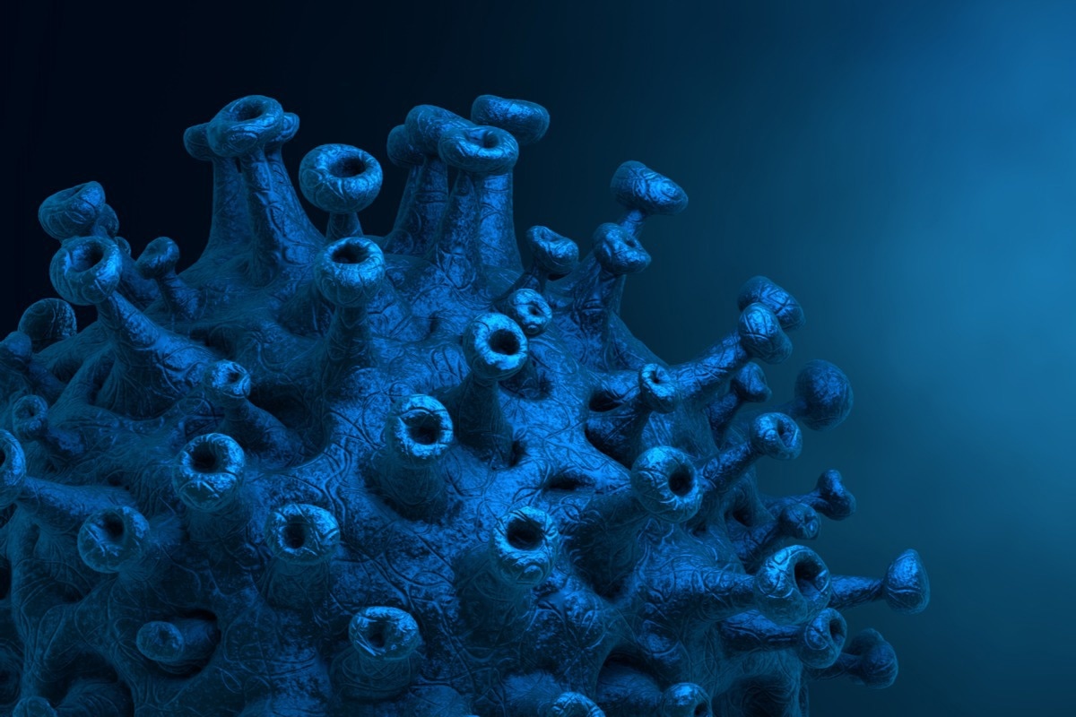 Study: Immunogenicity of candidate SARS-CoV-2 DNA vaccines based on the spike protein. Image Credit: CROCOTHERY/Shutterstock