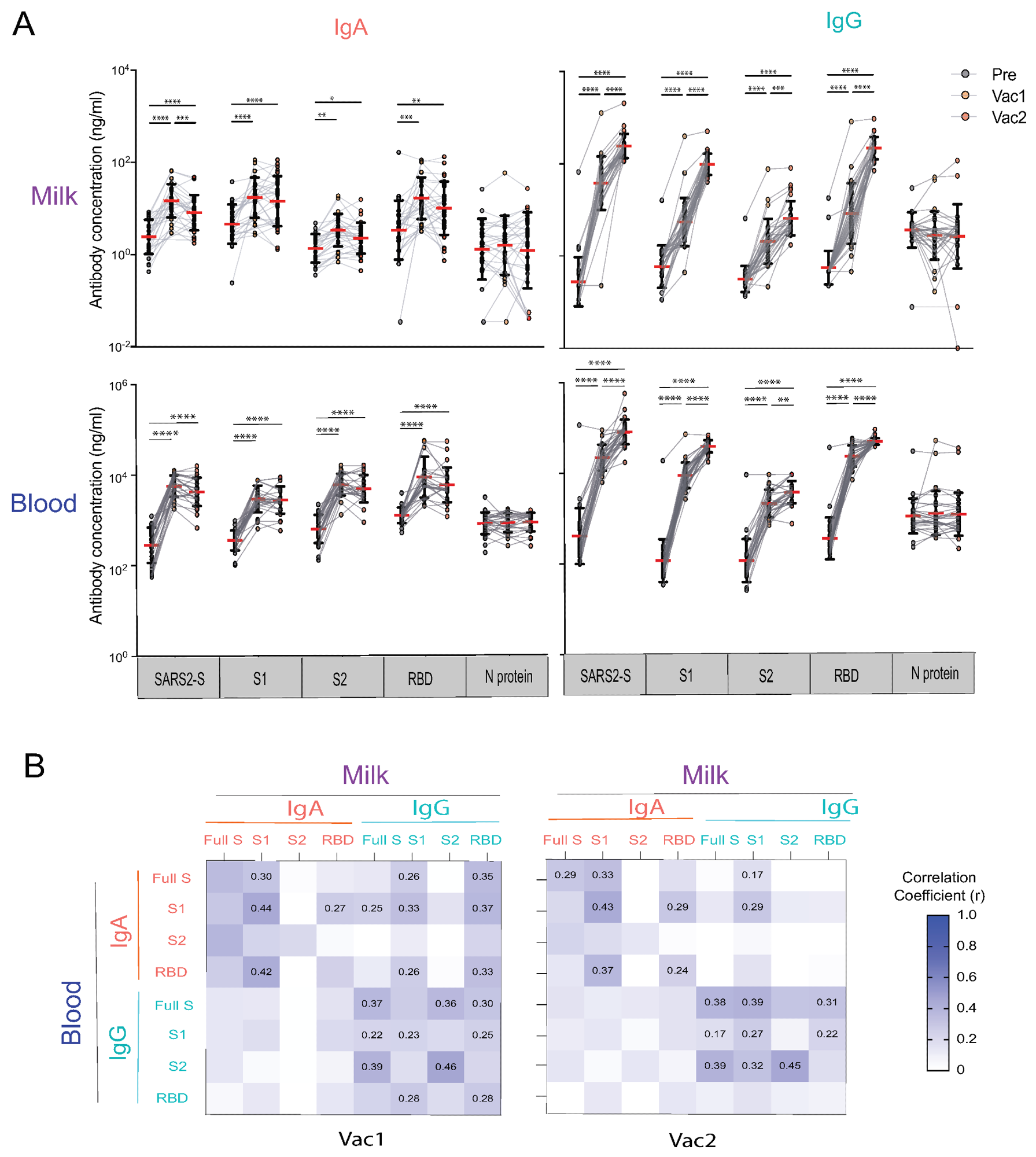 Human milk and blood SARS-CoV-2 specific IgA and IgG antibody response to mRNA vaccination in lactating parents. (A) IgA and IgG antibody responses to SARS-CoV-2 S (SARS2-S), S1, S2, RBD, and N of SARS-CoV-2 elicited by COVID-19 mRNA vaccination. The milk and fingerstick blood samples were collected pre-vaccine (PRE), 18 days after the first dose (Vac1), and 18 days after the second dose (Vac2). Antibody concentrations were estimated using the mPLEX-CoV assay (see Methods). Generalized linear mixed-effects models were used to test for differences between time points (**** p < 0.0001, *** p < 0.001, ** p < 0.01, * p < 0.05). (B) Heatmap of the Spearman correlations between IgA and IgG concentrations against SARS2-S, S1, S2, and RBD in milk and blood. Correlation coefficients (r) are color coded as shown in the figure and numerical values are given when the correlation p-value are less than 0.005.