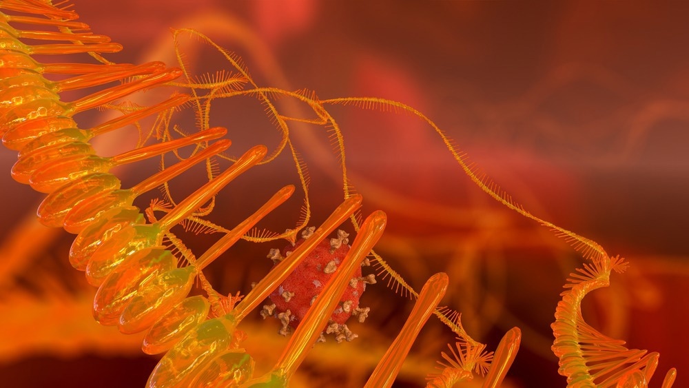 Study: Message in a bottle: mRNA vaccination for influenza. Image Credit: Mike Mareen / Shutterstock.com