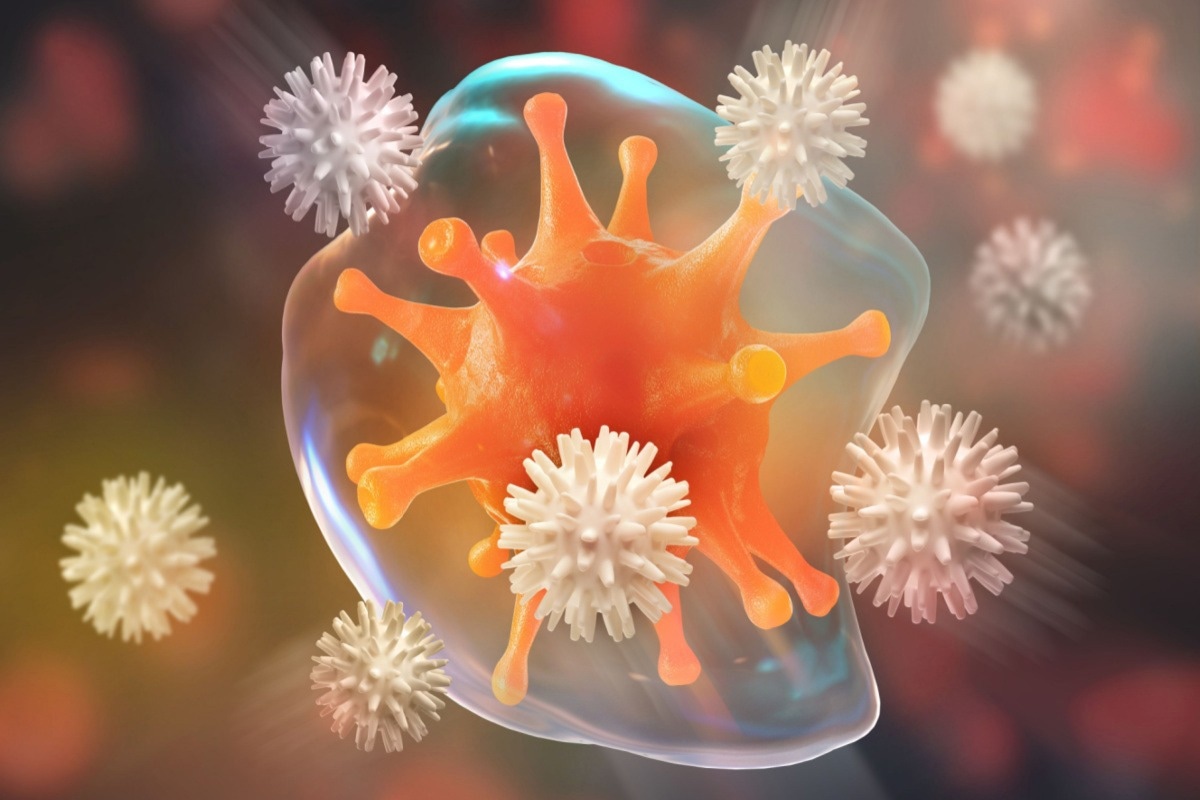 Study: A physical wiring diagram for the human immune system. Image Credit:  Yurchanka Siarhei/Shutterstock