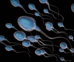 Sperm not affected nine months after COVID-19 mRNA vaccination