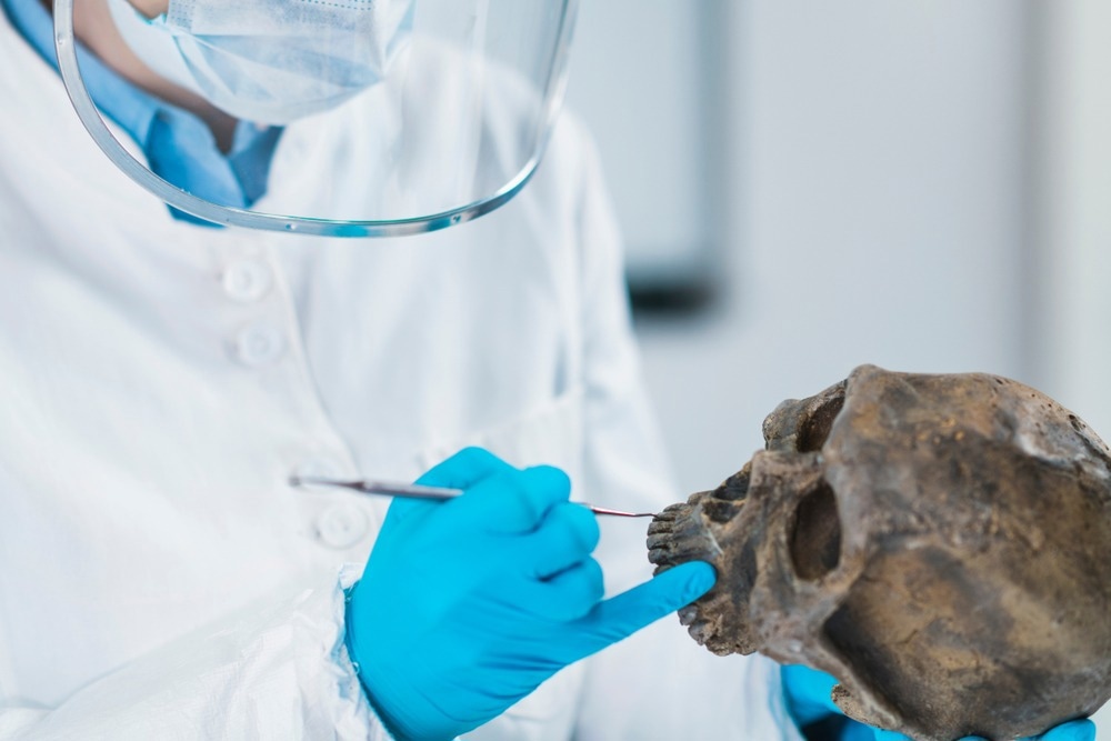 Study: Ancient Yersinia pestis and Salmonella enterica genomes from Bronze Age Crete. Image Credit: Microgen / Shutterstock.com