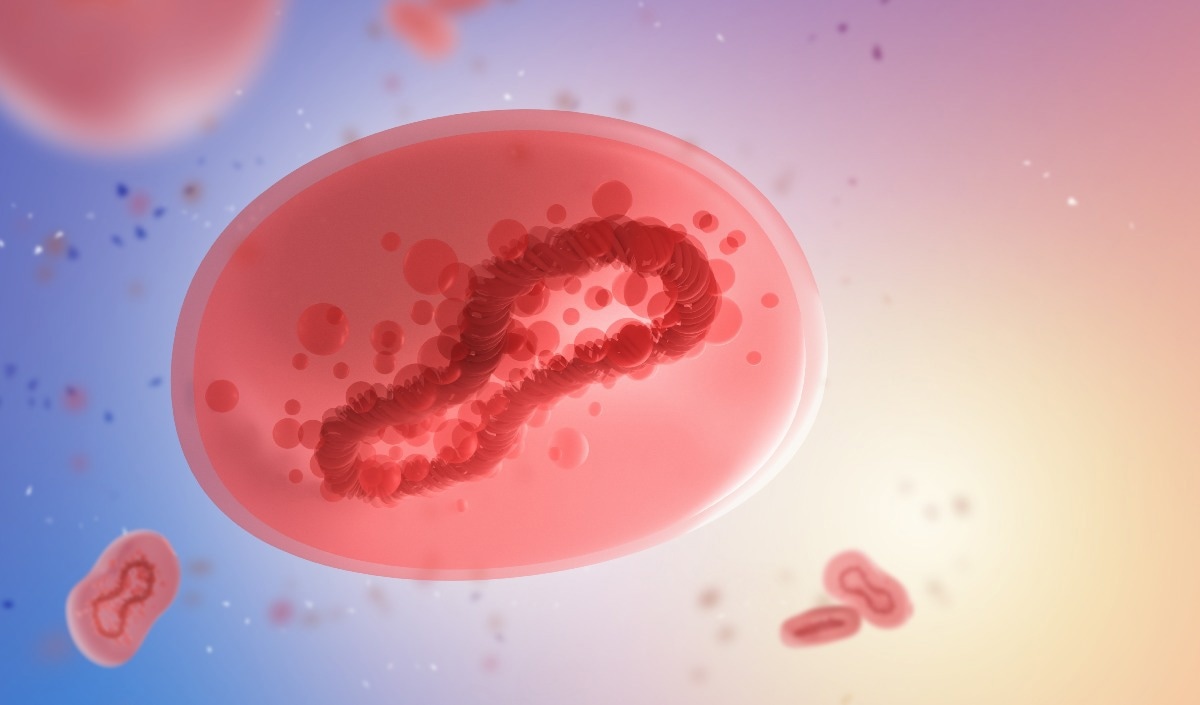 Study: Monkeypox self-diagnosis abilities, determinants of vaccination and self-isolation intention after diagnosis among MSM, the Netherlands, July 2022. Image Credit: FOTOGRIN/Shutterstock