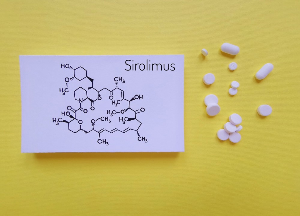 Study: Long-lasting geroprotection from brief rapamycin treatment in early adulthood by persistently increased intestinal autophagy. Image Credit: Danijela Maksimovic/Shutterstock