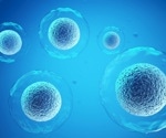 Researchers demonstrate improved culture of primate induced pluripotent stem cells