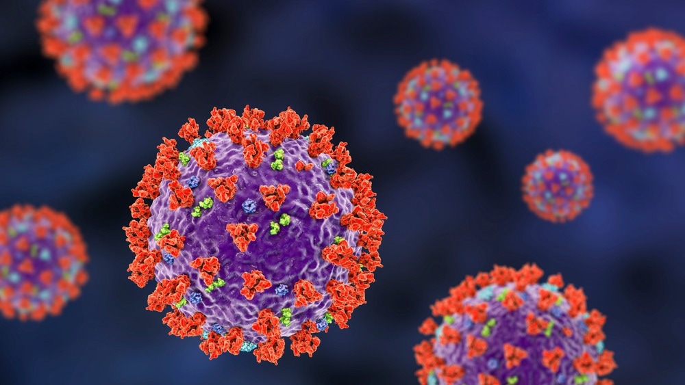 Study: Distinct phenotype of SARS-CoV-2 Omicron BA.1 in human primary cells but no increased host range in cell lines of putative mammalian reservoir species. Image Credit: Kateryna Kon/Shutterstock