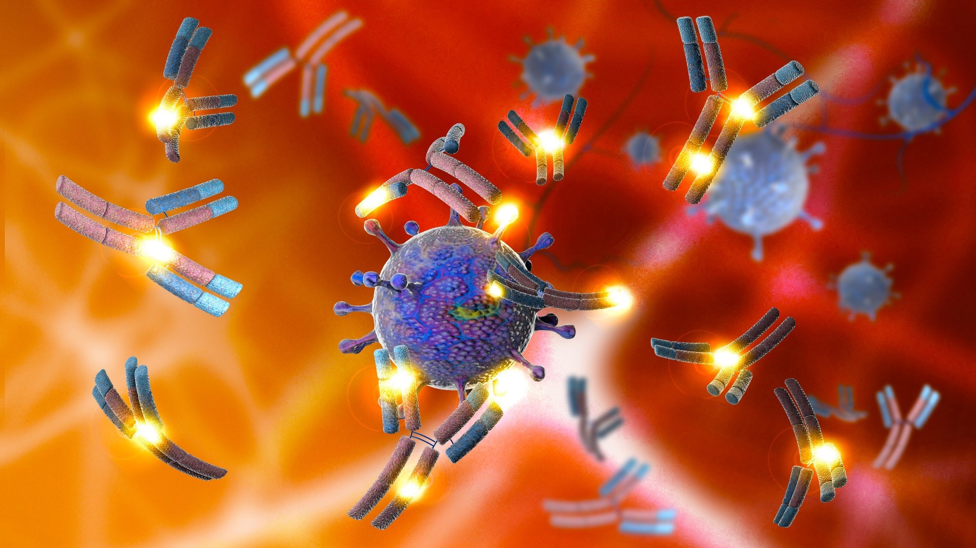 Study: Rare, convergent antibodies targeting the stem helix broadly neutralize diverse betacoronaviruses. Image Credit: Naeblys / Shutterstock