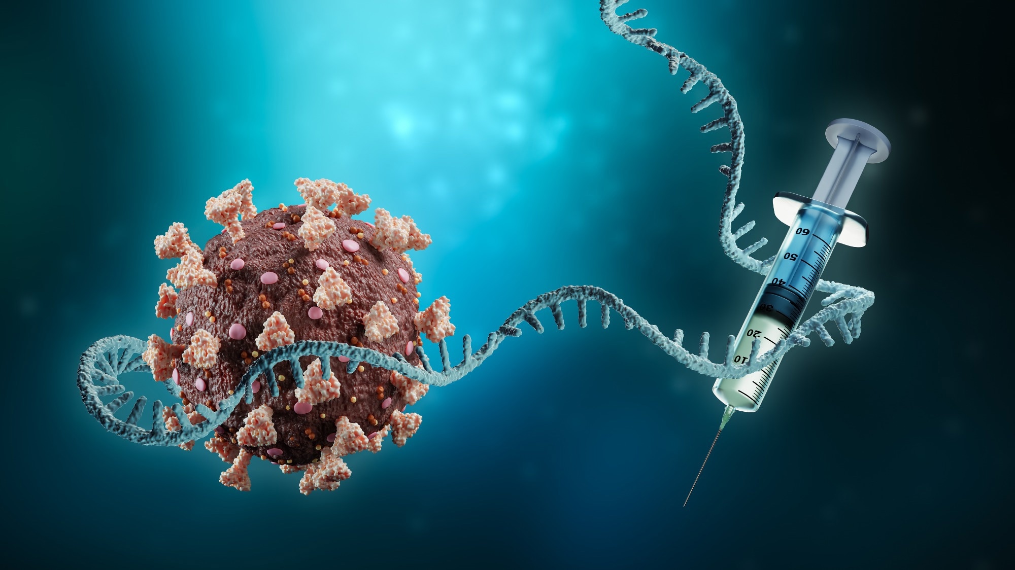 Study: Innate immune mechanisms of mRNA vaccines. Image Credit: MattLphotography / Shutterstock