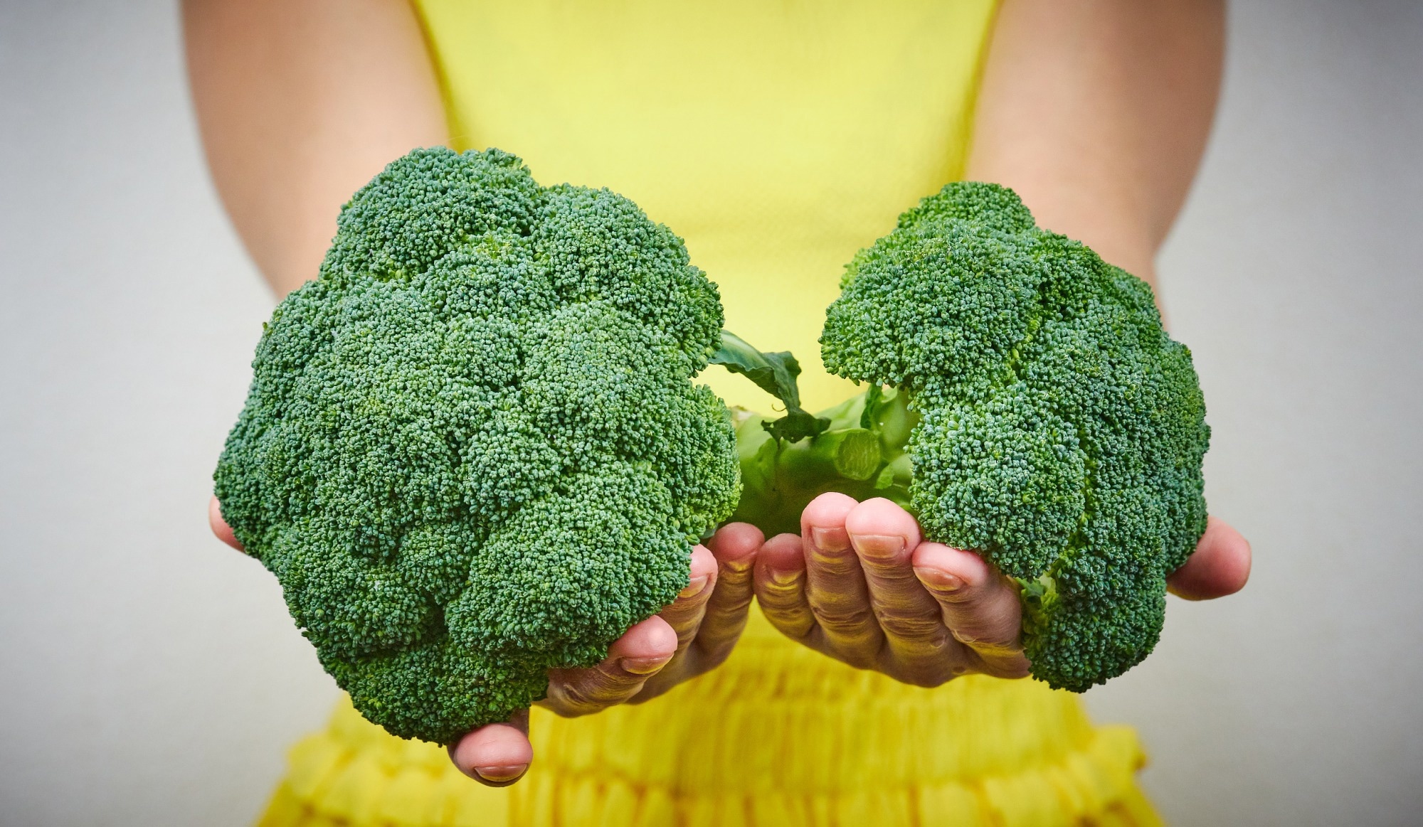 Review Article: Interplay of Broccoli/Broccoli Sprout Bioactives with Gut Microbiota in Reducing Inflammation in Inflammatory Bowel Diseases. Image Credit: Pakhomov Andrey / Shutterstock