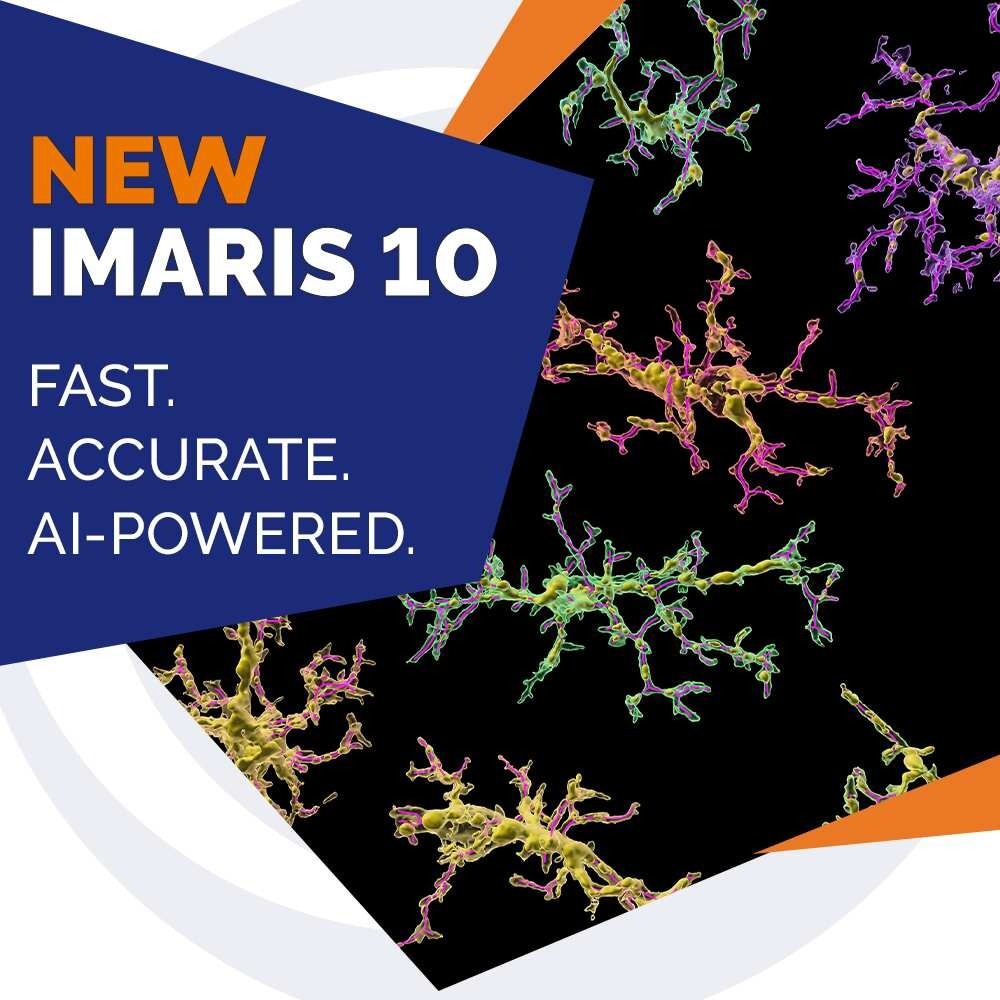 Imaris launches 10.0, an AI-powered software for fast and accurate detection of neurons, microglia and blood vessels