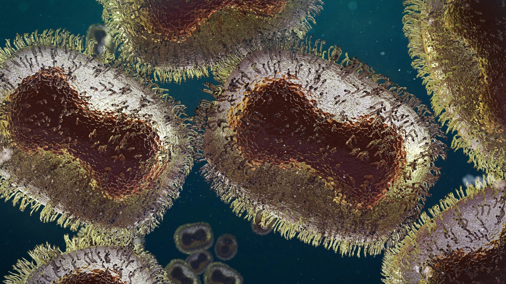 Study: Clinical Testing of Pediatric Mpox Specimens: Unique Features and Challenges in a Low Prevalence Population. Image Credit: Dotted Yeti / Shutterstock