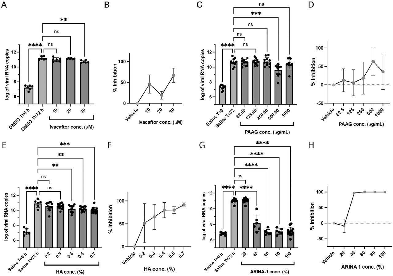 Anti-SARS-CoV-2 activity of the mucoactive agents tested in well-differentiated primary HBE cells. A) Effect on the viral copy number measured by the RT-qPCR caused by ivacaftor at the concentrations shown on the graph. B) Data from graph in A) were converted to percent of viral inhibition. C-D), E-F) and G-H) As in (A-B), but using the compounds PAAG, HA and ARINA-1, respectively. DMSO was the vehicle used for ivacaftor (hydrophobic compound) and saline for PAAG, HA and ARINA-1 (hydrophilic compounds). All experiments were performed at least in duplicate independent assays, each with at least three transwell filter replicates per condition. Treatments were compared using ordinary one-way ANOVA statistical analysis. Hydrophobic compounds (added basolaterally) and hydrophilic (added apically) are shown in green and red, respectively. For each compound, each independent experiment was done with primary HBEC from a different donor.