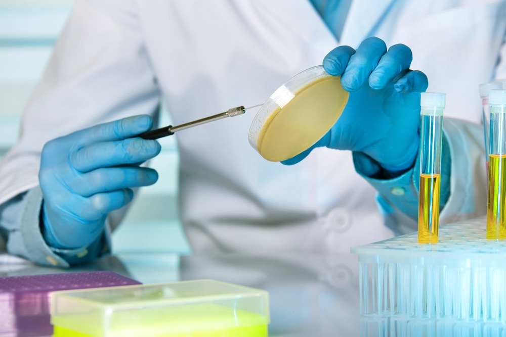 Study: Choosing wisely initiative for reducing urine cultures for asymptomatic bacteriuria and catheter-associated asymptomatic bacteriuria in an 11-hospital safety net system. Image Credit: angellodeco/Shutterstock