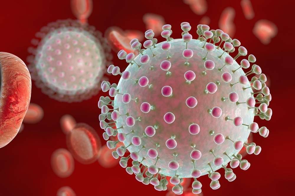 Study: A Zika virus-specific IgM elicited in pregnancy exhibits ultrapotent neutralization. Image Credit: Kateryna Kon/Shutterstock.com