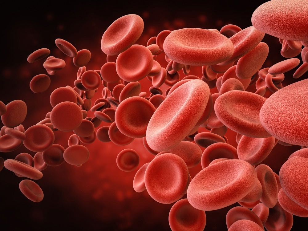Study: Coronavirus pathogenesis in mice explains the SARS-CoV-2 multi-organ spread by red blood cells hitch-hiking. Image Credit: honlamaiPhoto/Shutterstock.com  Background