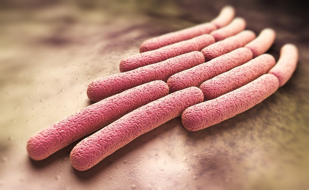 Study: The evolution and international spread of extensively drug resistant Shigella sonnei. Image Credit: TatianaShepeleva/Shutterstock.com