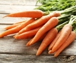 Does carrot-derived rhamnogalacturonan I positively impact gut microbiota composition and function?