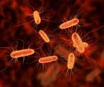 Rapid spread of antibiotic-resistant E. coli across Europe raises concerns