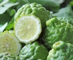 Bergamot fiber shows promise in battling neurodegenerative disorders