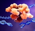 Arrayed CRISPR Screening for Revolutionizing Target Discovery