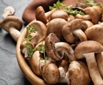 Are mushrooms an effective early dietary intervention for Alzheimer’s Disease?