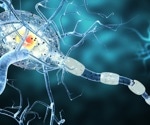 Exploring DNA methylation biomarkers of multiple sclerosis