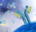Artificial intelligence and polyclonal antibody sequencing redefine the future of antibody discovery