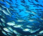 Is your seafood safe? New study reveals alarming levels of toxins in Pacific Ocean marine life