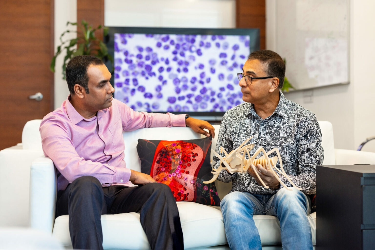 Malaria protein discovery opens new avenues for combating deadly infection