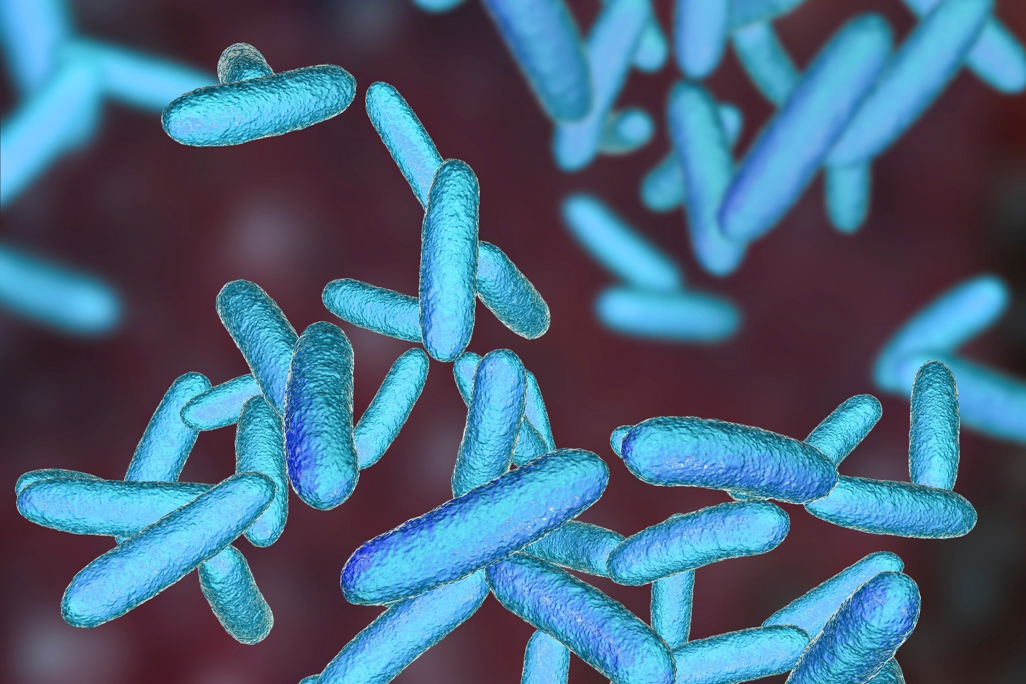Study: Risk Factors for Enteric Pathogen Exposure among Children in Black Belt Region of Alabama, USA. Image Credit: Kateryna Kon / Shutterstock