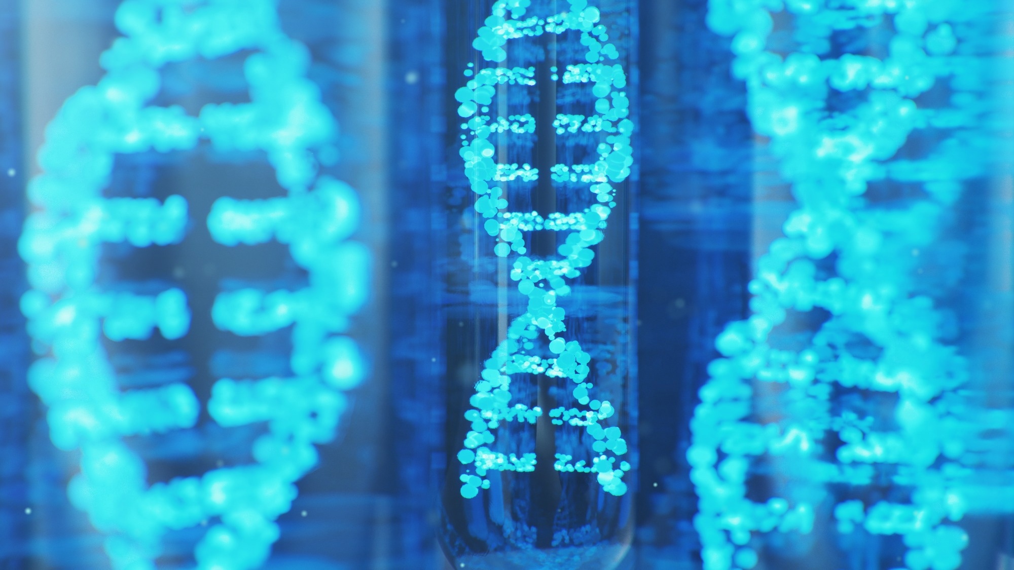 Image Credit: Rost9/Shutterstock.com